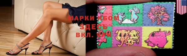 прущие грибы Баксан