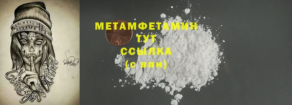 прущие грибы Баксан