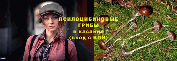 мескалин Балахна