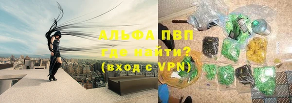 прущие грибы Баксан